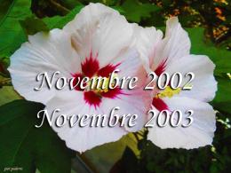 Novembre 2002 - Ottobre 2003