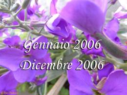 Gennaio 2006 - Dicembre 2006