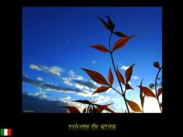 Welcome the spring