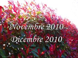Novembre 2010 - Dicembre 2010