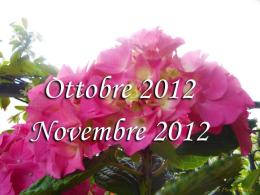 Ottobre 2012 - Novembre 2012